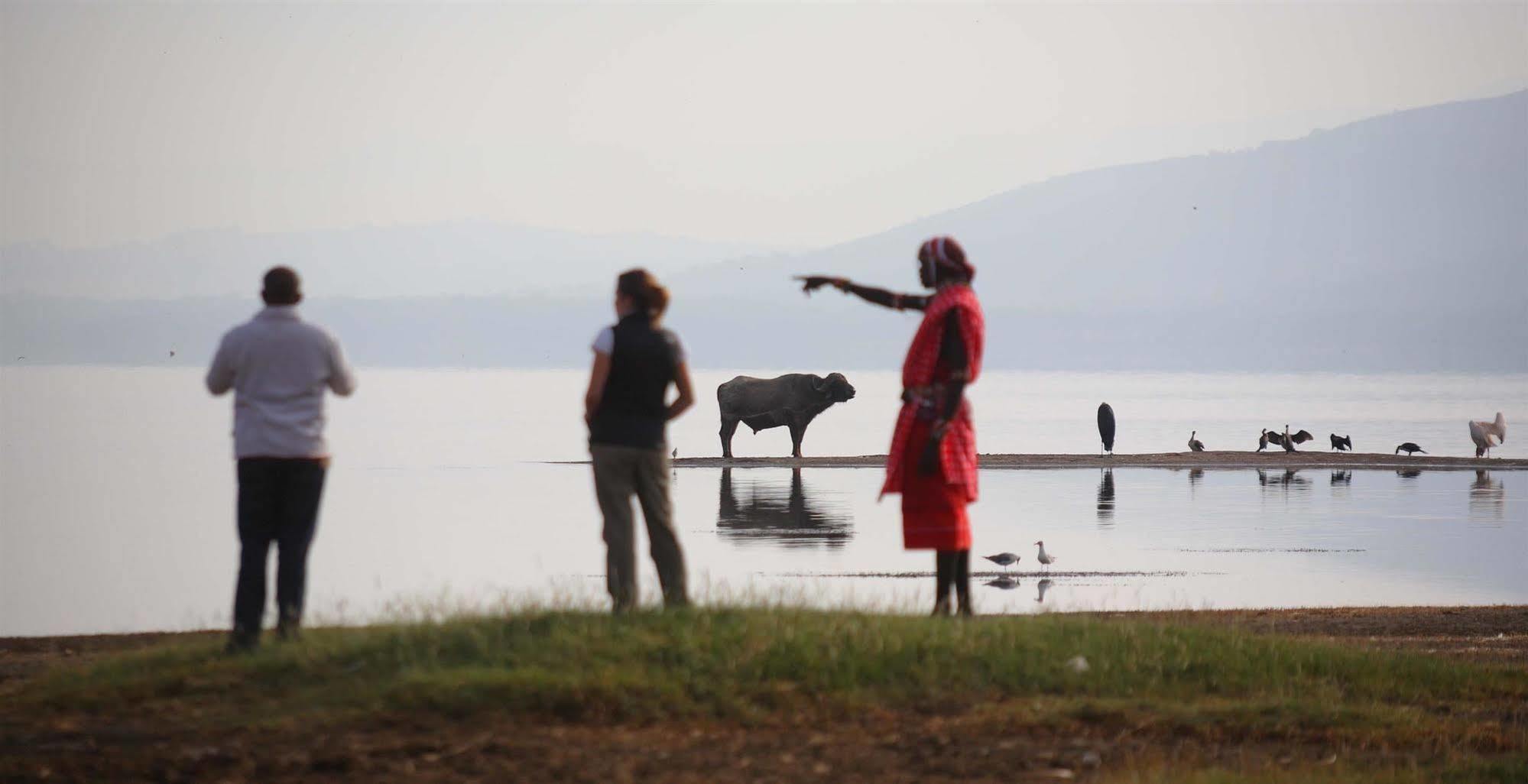 Sarova Lion Hill Game Lodge Nakuru Exterior photo